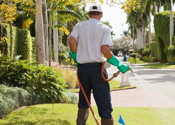About Hustler WI Pest Control